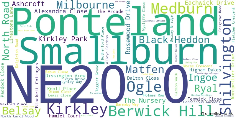 A word cloud for the NE20 0 postcode
